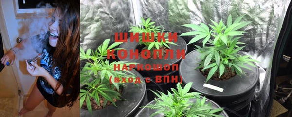 винт Надым