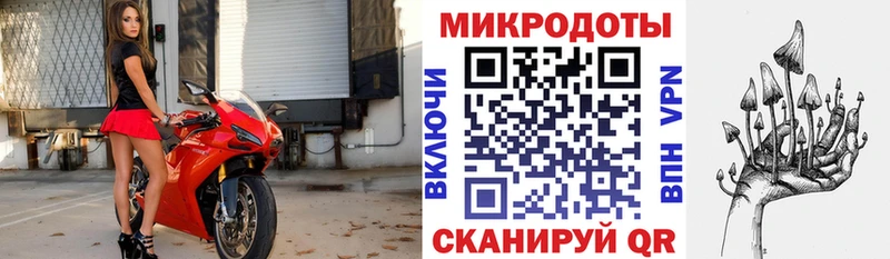 Галлюциногенные грибы Cubensis  Купить где  Эртиль 
