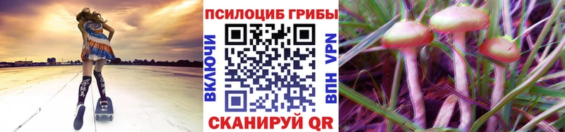 Псилоцибиновые грибы прущие грибы Эртиль